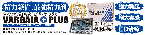 精力絶倫、バルガイアプラス