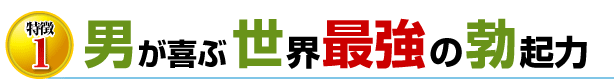 男が喜ぶ世界最強の勃起力